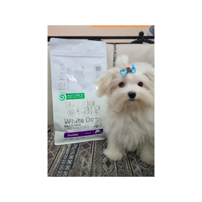 Nature's protection superior care white dogs junior top